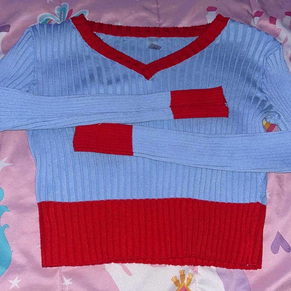 Blue and red sweater